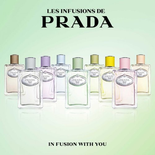 PRADA PARFUM Infusion de Figue - Eau de Parfum 3614273906678 PRADA PARFUM Infusion de Figue - Eau de Parfum 3614273906678